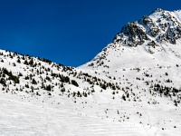 Verbier
